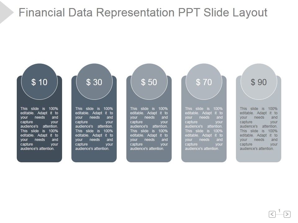 Financial_Data_Representation_Ppt_PowerPoint_Presentation_Rules_Slide_1.jpg