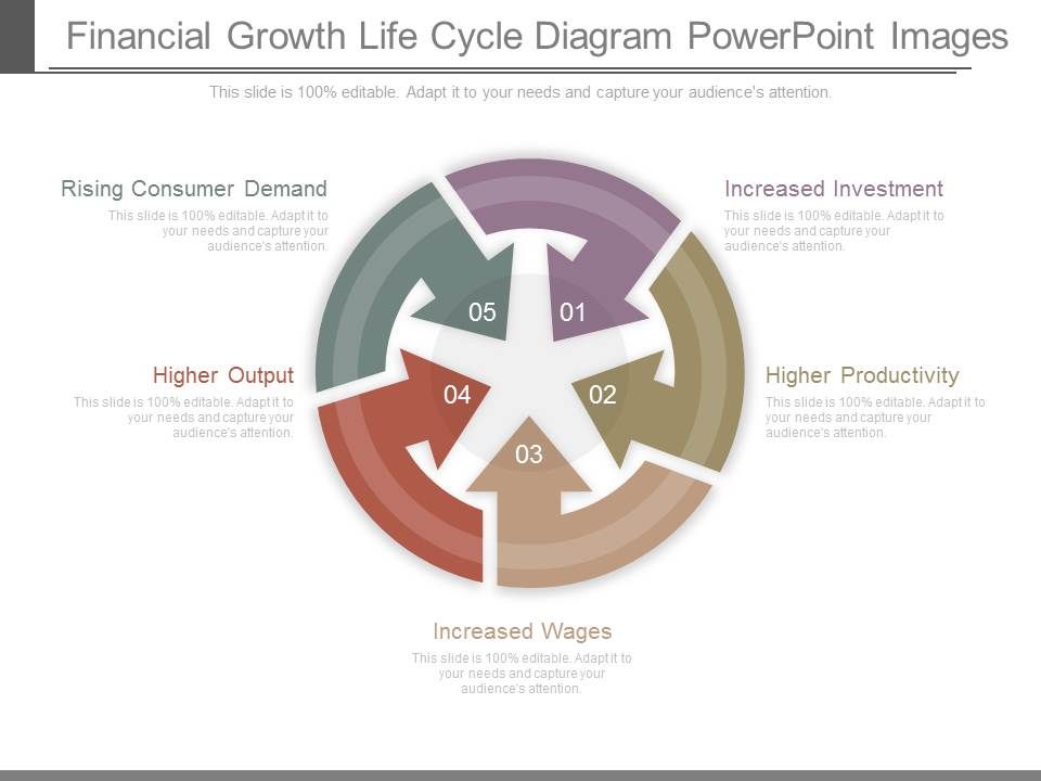 Financial_Growth_Life_Cycle_Diagram_Powerpoint_Images_1.jpg