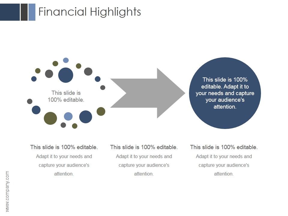 Financial_Highlights_Ppt_PowerPoint_Presentation_Outline_Slide_1.jpg