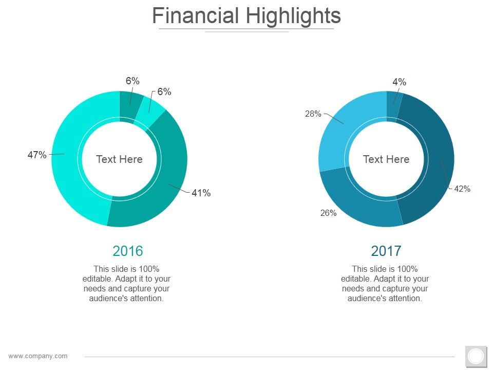 Financial_Highlights_Template_1_Ppt_PowerPoint_Presentation_Summary_Infographics_Slide_1.jpg