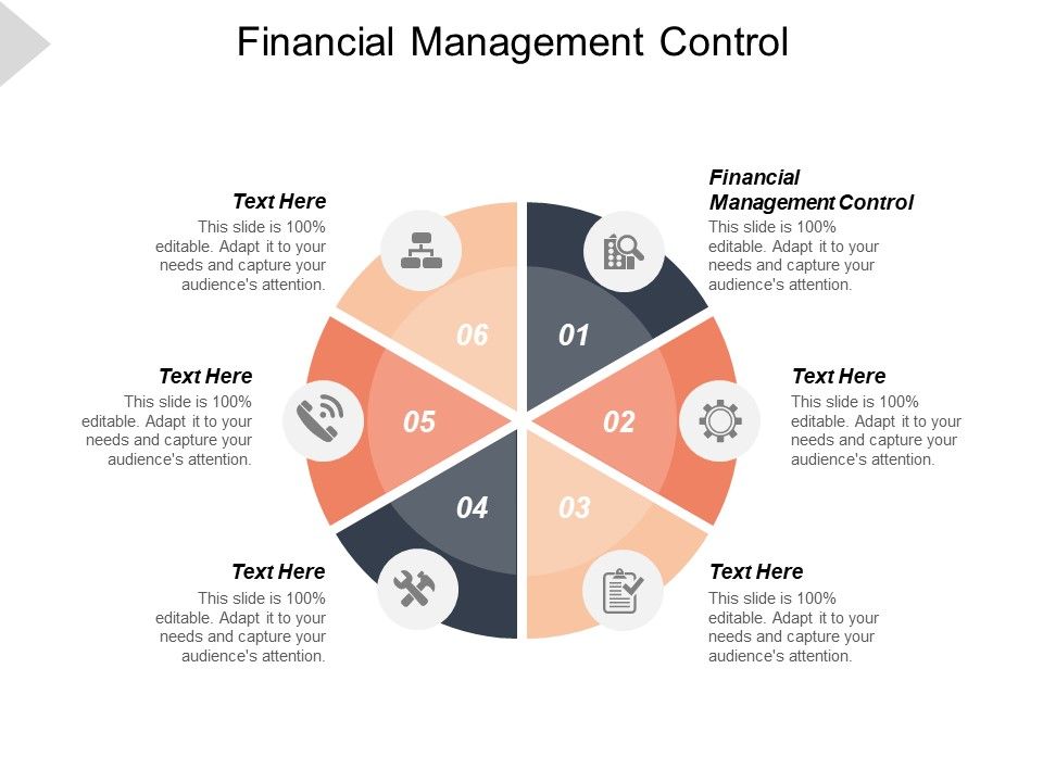 Financial_Management_Control_Ppt_PowerPoint_Presentation_Show_Slide_Portrait_Cpb_Slide_1.jpg