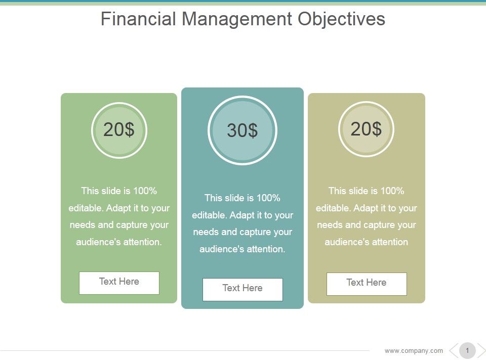 Financial_Management_Objectives_Ppt_PowerPoint_Presentation_Inspiration_Slide_1.jpg