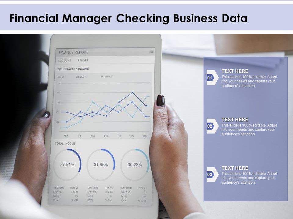 Financial_Manager_Checking_Business_Data_Ppt_PowerPoint_Presentation_Layouts_Deck_PDF_Slide_1.jpg