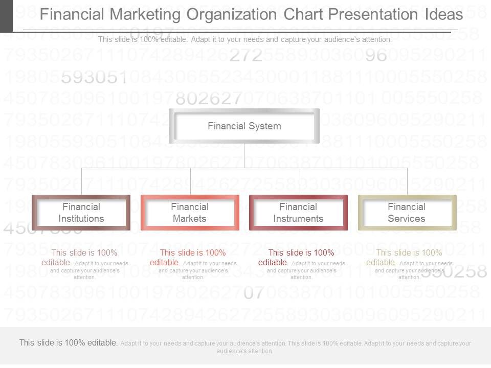 Financial_Marketing_Organization_Chart_Presentation_Ideas_1.jpg