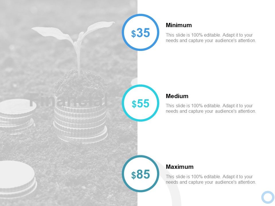 Financial_Medium_Ppt_PowerPoint_Presentation_Summary_Graphics_Download_Slide_1.jpg