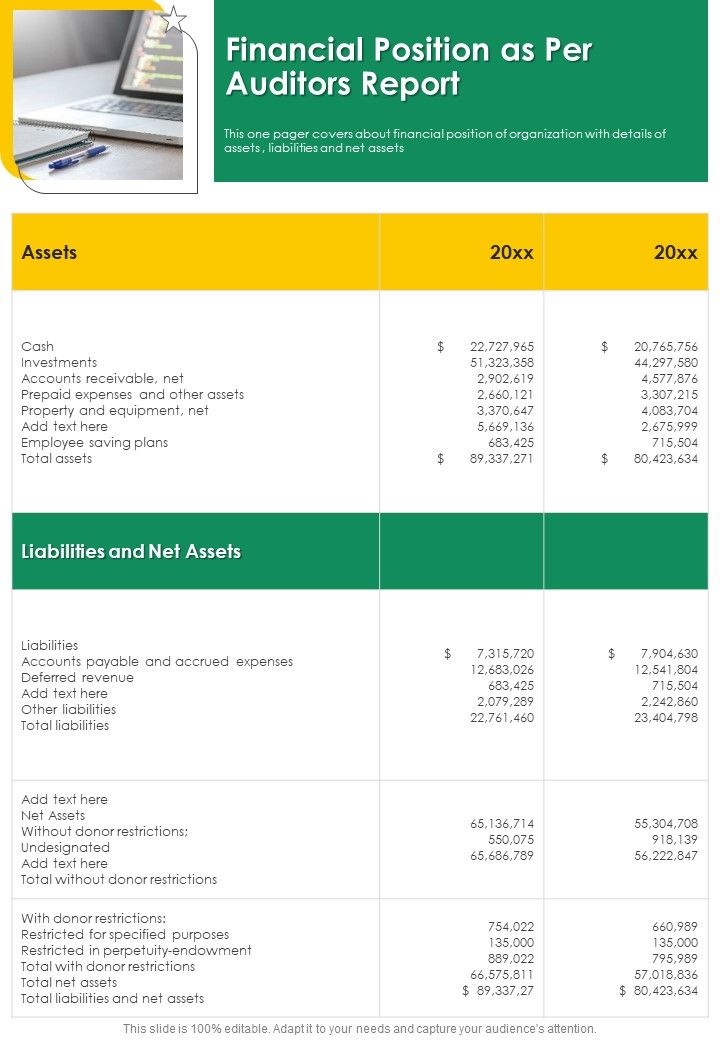Financial Position As Per Auditors Report One Pager Documents Slide01