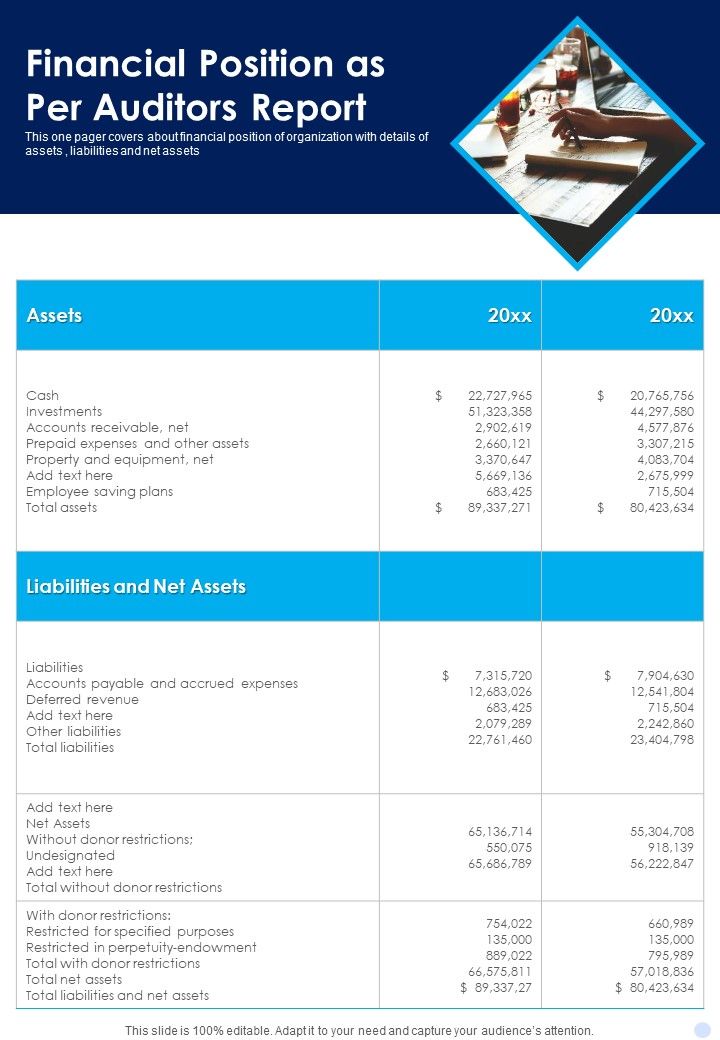 Financial Position As Per Auditors Report Template 171 One Pager Documents Slide01