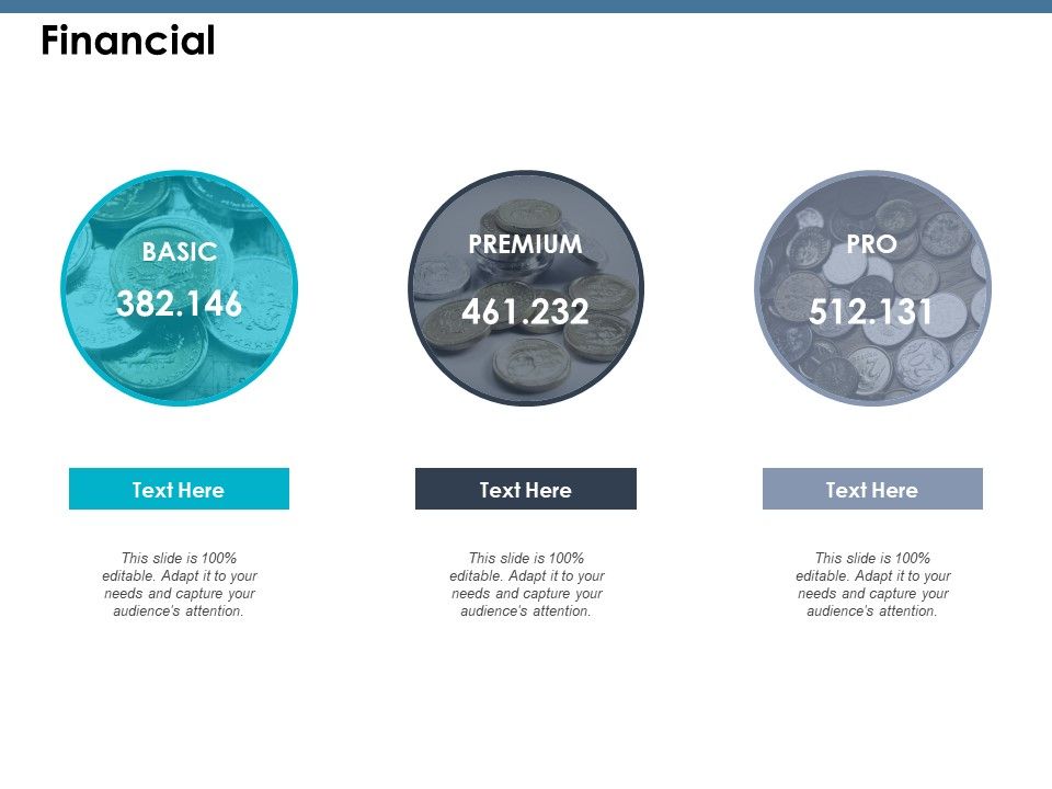 Financial_Ppt_PowerPoint_Presentation_Infographic_Template_Guide_Slide_1.jpg