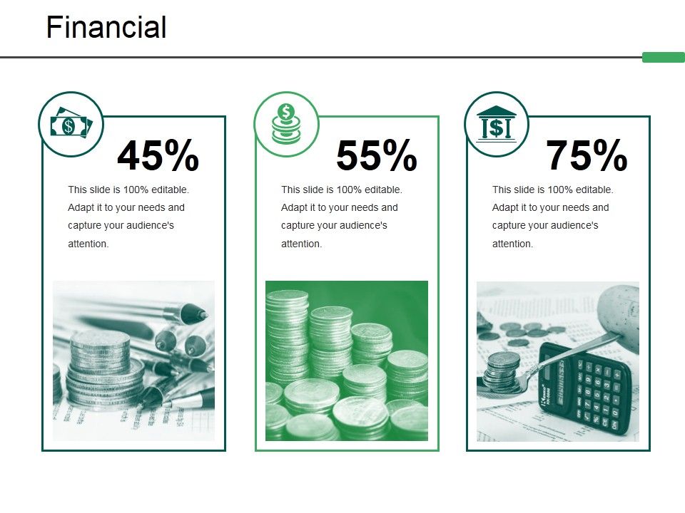 Financial_Ppt_PowerPoint_Presentation_Infographics_Show_Slide_1.jpg