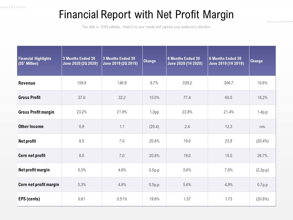 Financial_Report_With_Net_Profit_Margin_Ppt_PowerPoint_Presentation_File_Example_PDF_Slide_1.jpg