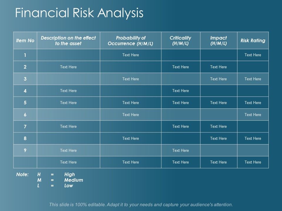 Financial_Risk_Analysis_Ppt_PowerPoint_Presentation_Model_Example_Introduction_Slide_1.jpg
