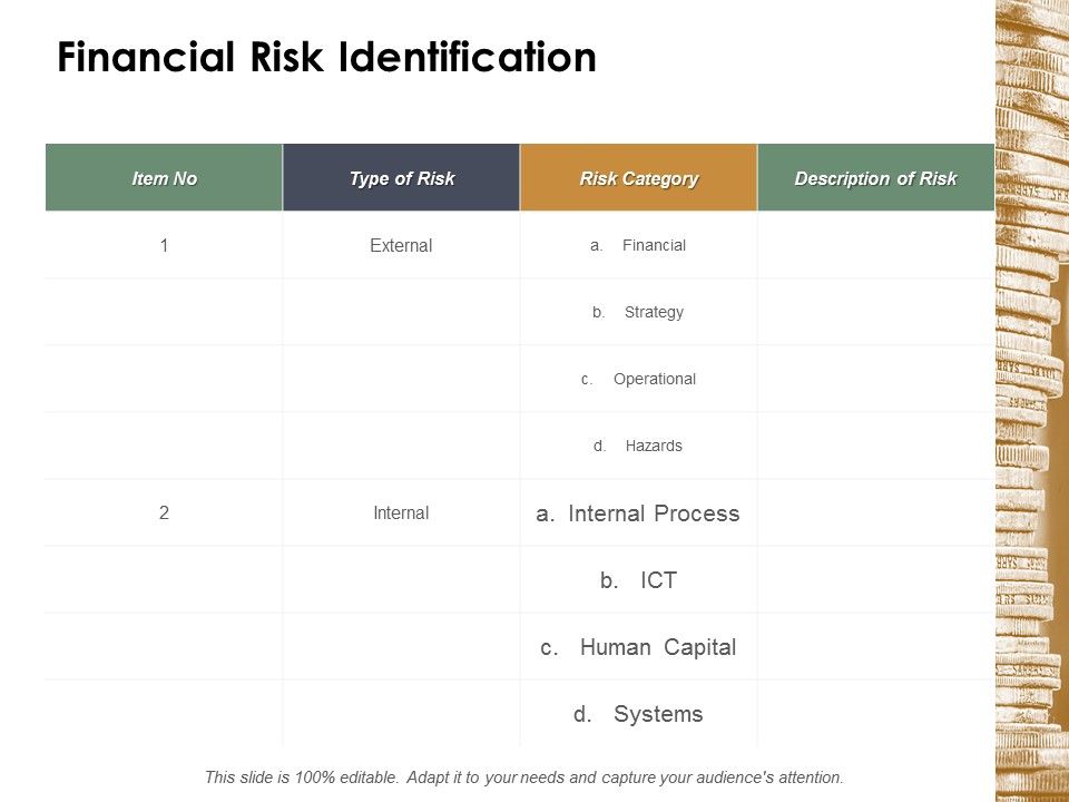 Financial_Risk_Identification_Ppt_PowerPoint_Presentation_Designs_Slide_1.jpg