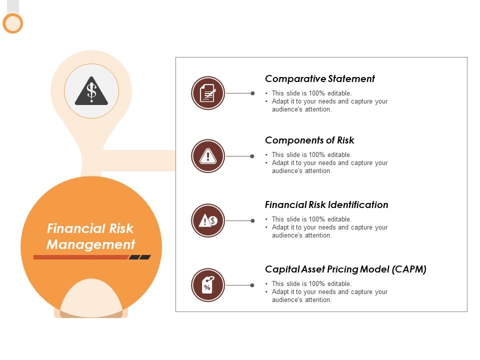 Financial_Risk_Management_Ppt_PowerPoint_Presentation_Gallery_Format_Slide_1.jpg