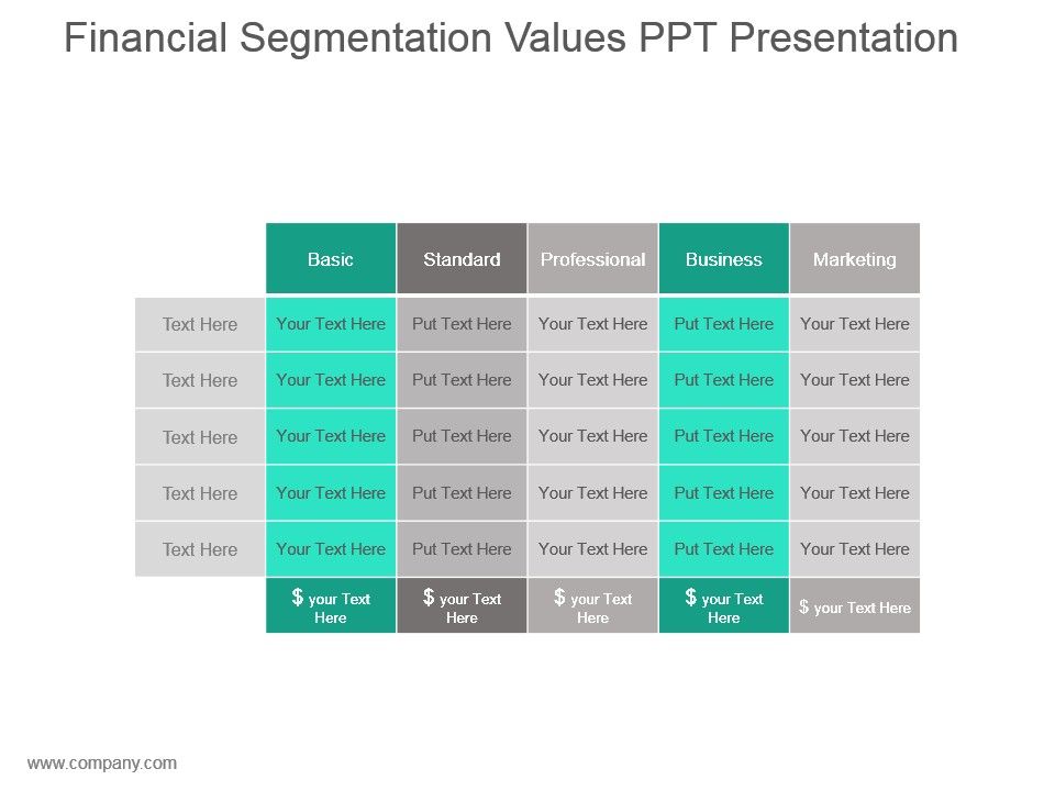 Financial_Segmentation_Values_Ppt_Presentation_1.jpg