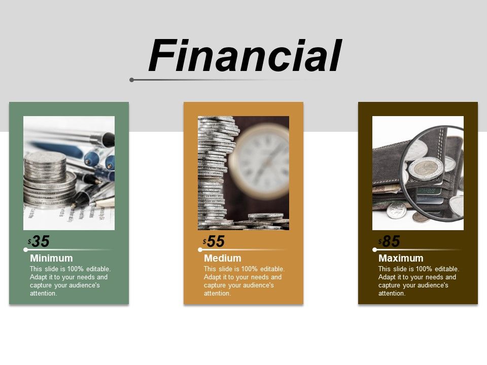 Financial_Service_Ppt_PowerPoint_Presentation_Show_Layout_Slide_1.jpg