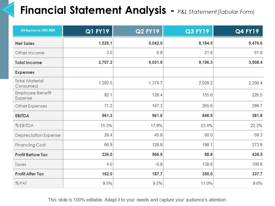 Financial_Statement_Analysis_P_And_L_Statement_Ppt_PowerPoint_Presentation_Professional_Slides_Slide_1.jpg