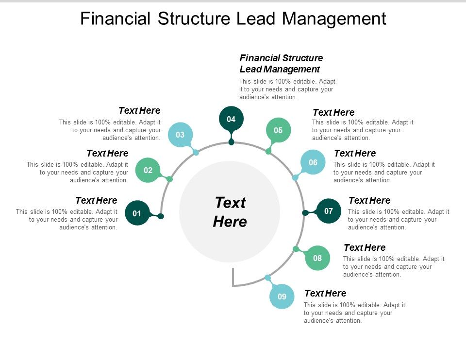 Financial_Structure_Lead_Management_Ppt_PowerPoint_Presentation_Ideas_Layout_Ideas_Cpb_Slide_1.jpg