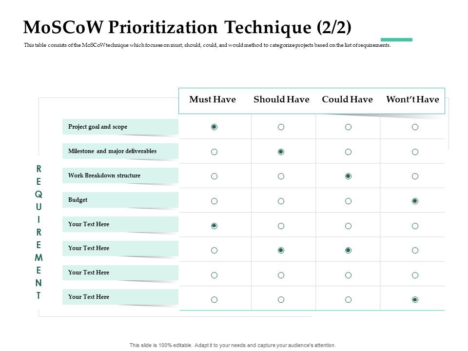 Firm_Project_Prioritization_And_Selection_Moscow_Prioritization_Technique_Budget_Introduction_PDF_Slide_1.jpg