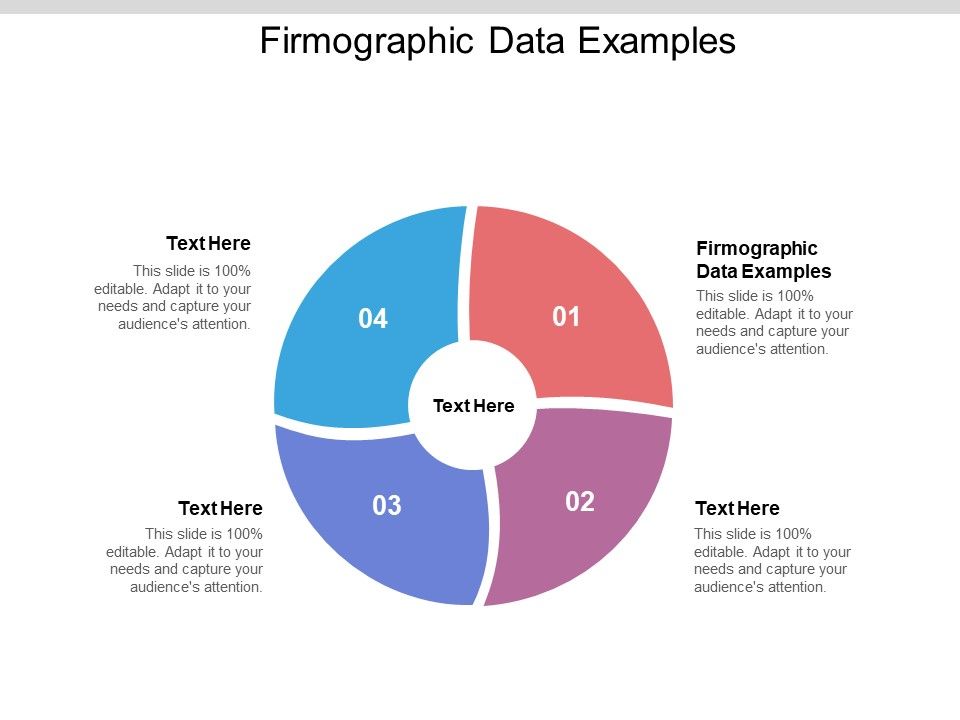 Firmographic_Data_Examples_Ppt_PowerPoint_Presentation_Slides_Shapes_Cpb_Pdf_Slide_1.jpg
