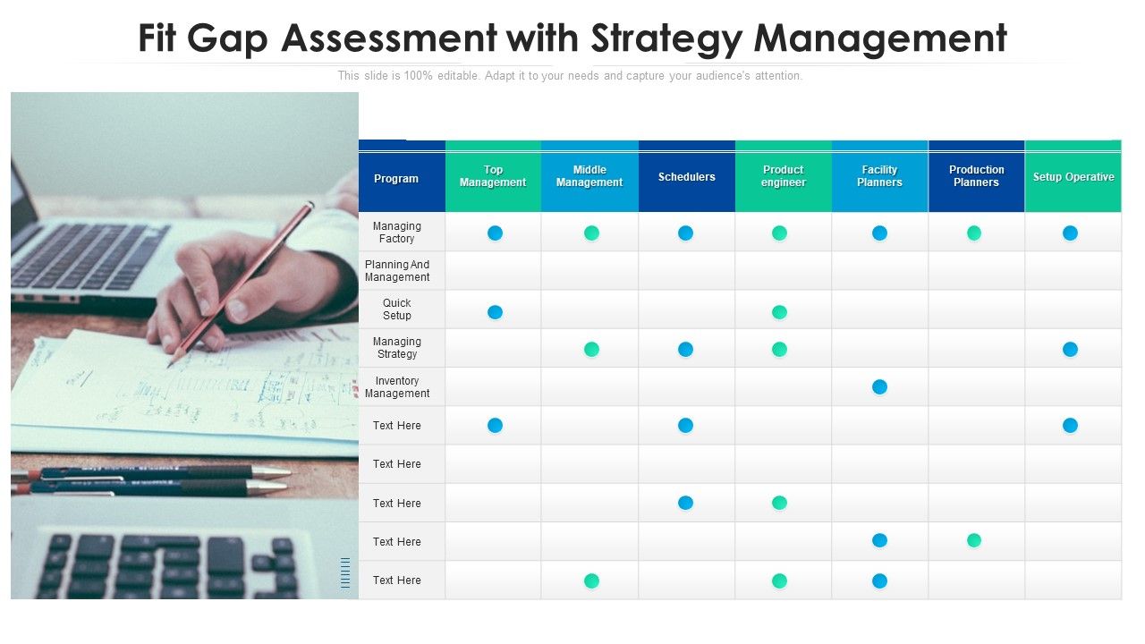 Fit_Gap_Assessment_With_Strategy_Management_Ppt_Infographic_Template_Show_PDF_Slide_1.jpg