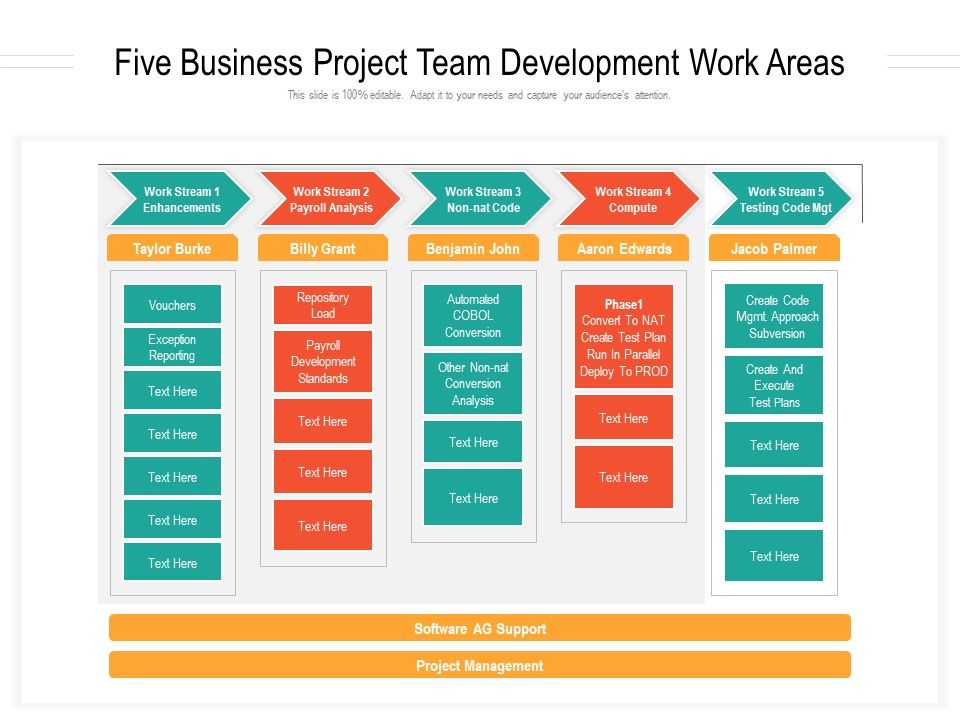 Five_Business_Project_Team_Development_Work_Areas_Ppt_PowerPoint_Presentation_Gallery_Rules_PDF_Slide_1.jpg