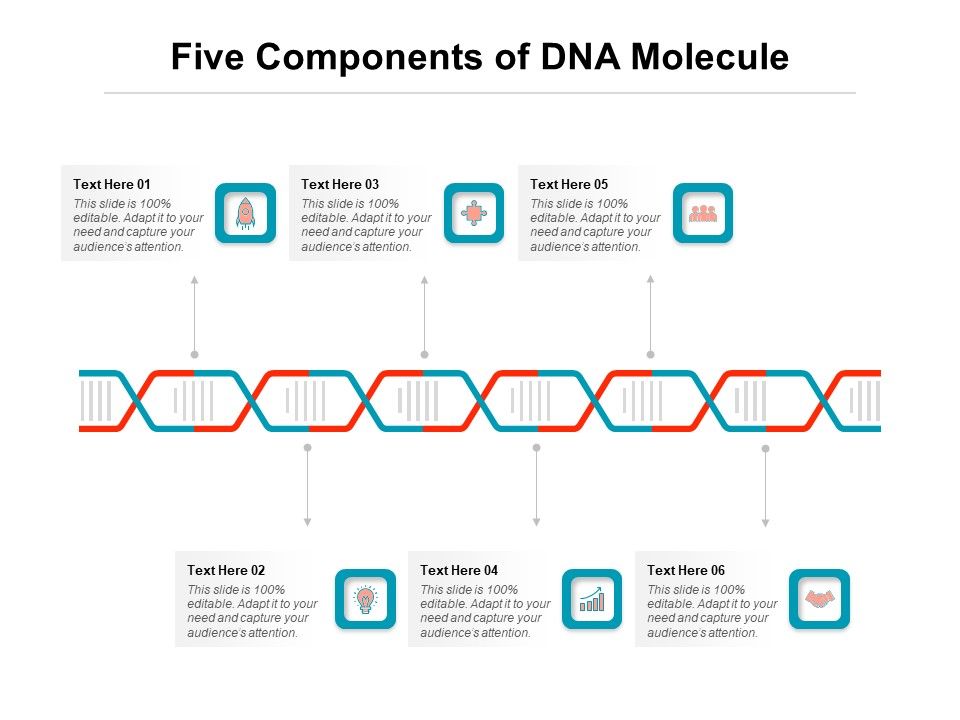 Five_Components_Of_DNA_Molecule_Ppt_PowerPoint_Presentation_Summary_Show_PDF_Slide_1.jpg