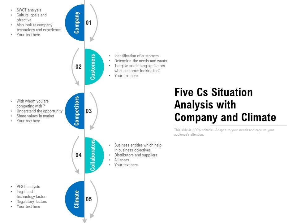 Five_Cs_Situation_Analysis_With_Company_And_Climate_Ppt_PowerPoint_Presentation_Styles_Samples_PDF_Slide_1.jpg