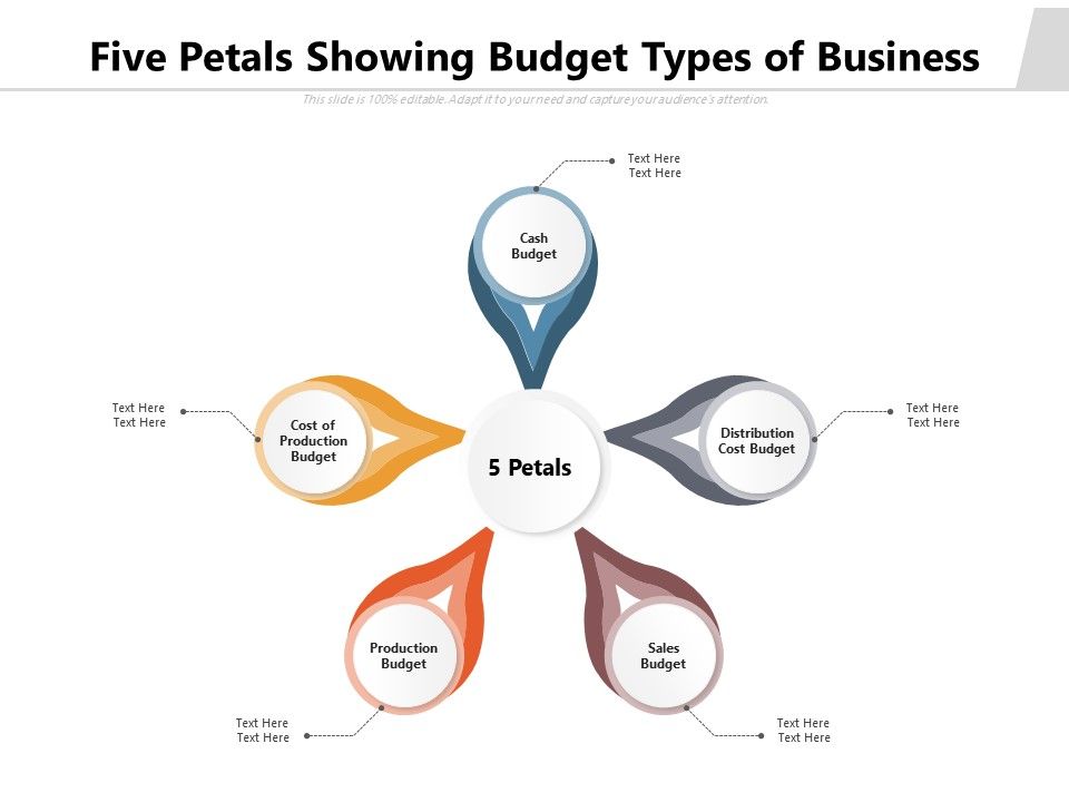 Five_Petals_Showing_Budget_Types_Of_Business_Ppt_PowerPoint_Presentation_Infographic_Template_Slide_Portrait_PDF_Slide_1.jpg