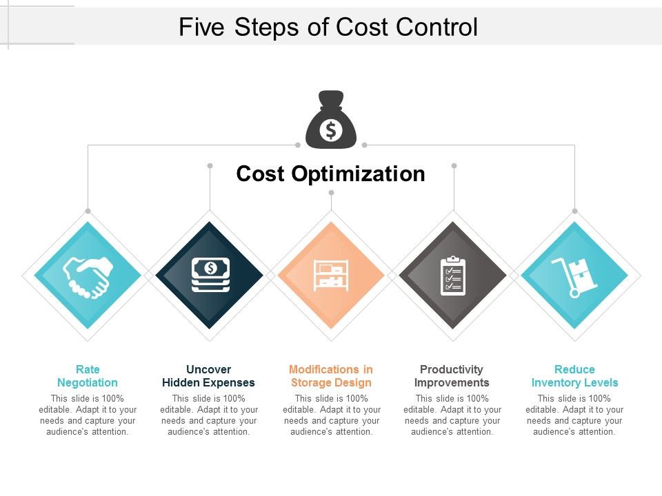 Five_Steps_Of_Cost_Control_Ppt_PowerPoint_Presentation_Summary_Clipart_Slide_1.jpg