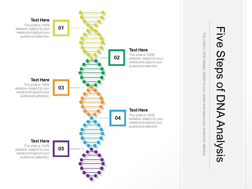 Five_Steps_Of_DNA_Analysis_Ppt_PowerPoint_Presentation_Styles_Graphic_Images_PDF_Slide_1.jpg