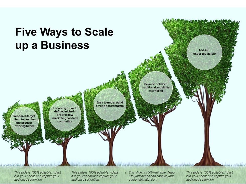 Five_Ways_To_Scale_Up_A_Business_Ppt_PowerPoint_Presentation_Ideas_Elements_Slide_1.jpg
