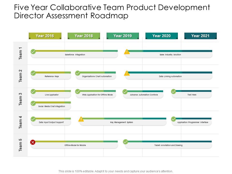 Five_Year_Collaborative_Team_Product_Development_Director_Assessment_Roadmap_Infographics_Slide_1.jpg