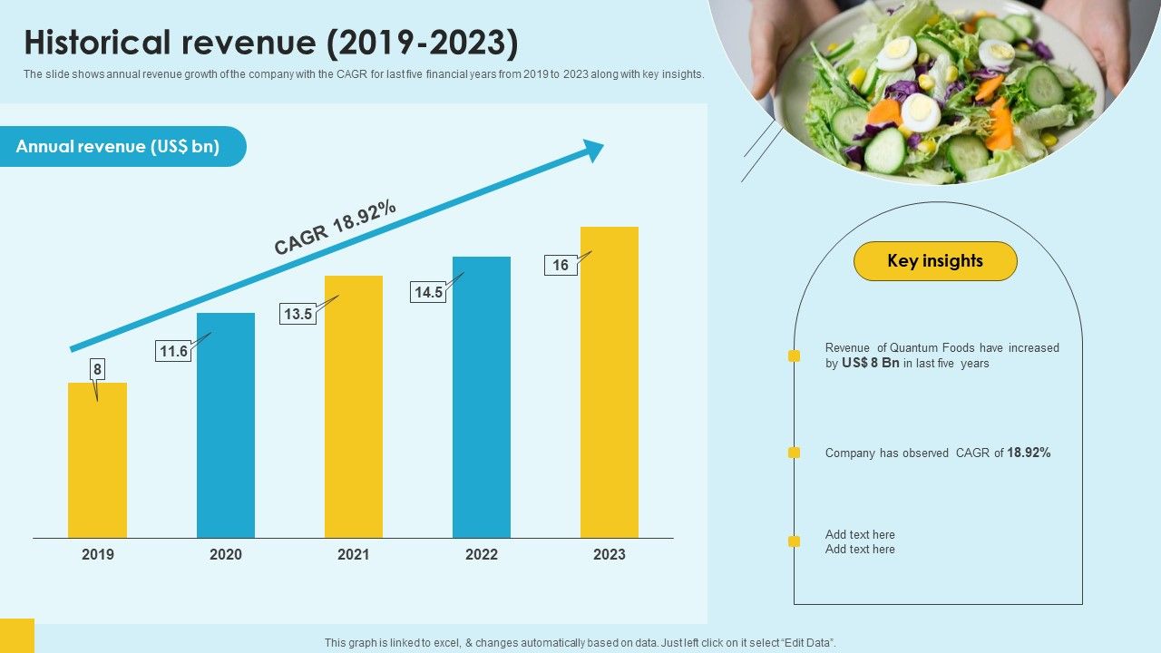 Food_Company_Financial_Performance_Summary_Historical_Revenue_2019_2023_Background_PDF_Slide_1.jpg