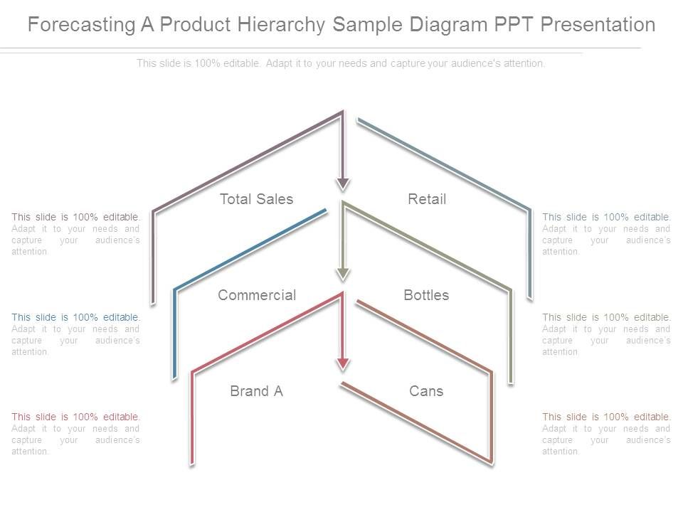 Forecasting_A_Product_Hierarchy_Sample_Diagram_Ppt_Presentation_1.jpg