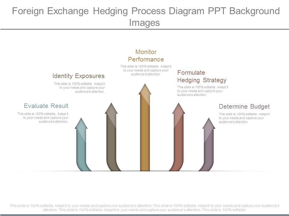 Foreign_Exchange_Hedging_Process_Diagram_Ppt_Background_Images_1.jpg