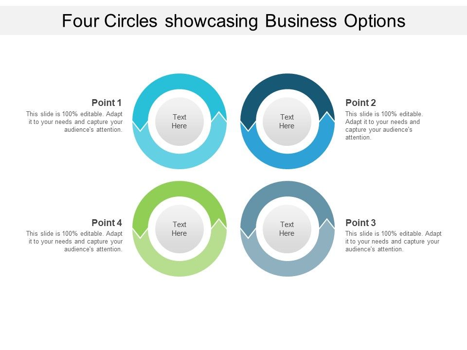 Four_Circles_Showcasing_Business_Options_Ppt_PowerPoint_Presentation_Ideas_Styles_Slide_1.jpg
