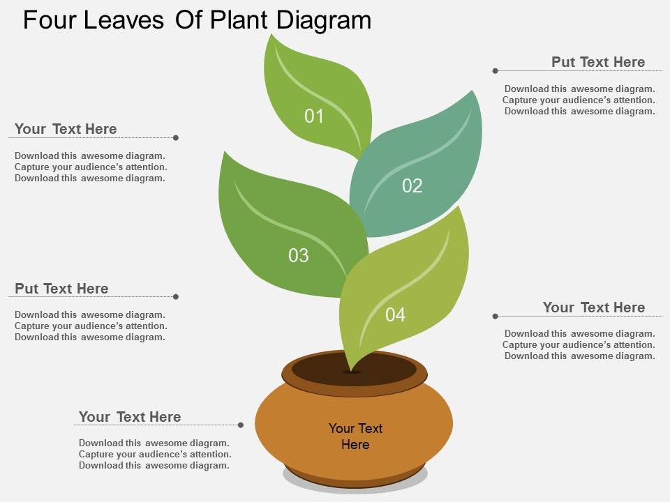 Four_Leaves_Of_Plant_Diagram_Powerpoint_Template_1.jpg