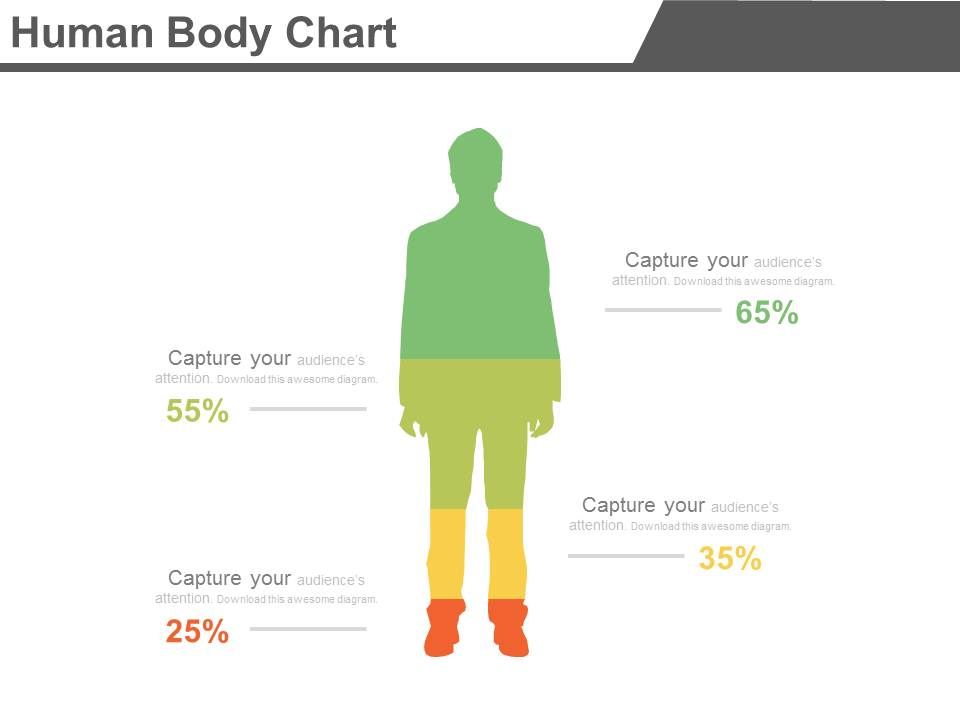 Four_Segments_Human_Body_Chart_Powerpoint_Slides_1.jpg