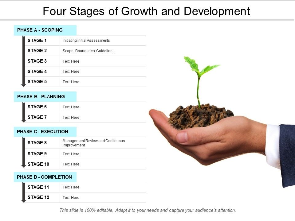 Four_Stages_Of_Growth_And_Development_Ppt_PowerPoint_Presentation_Model_Rules_Slide_1.jpg