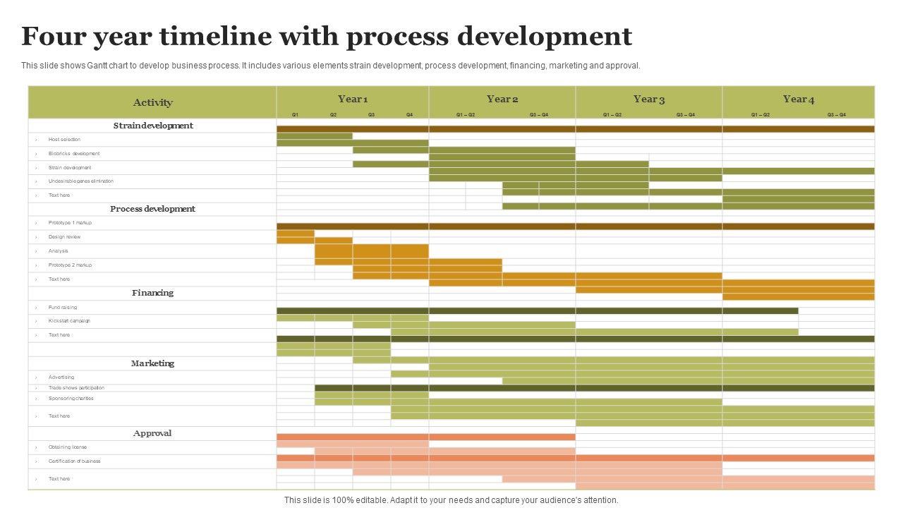 Four_Year_Timeline_With_Process_Development_Summary_PDF_Slide_1.jpg