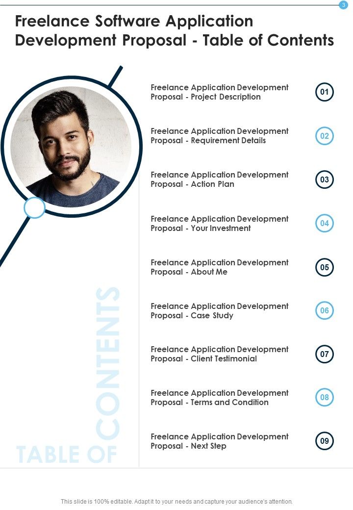 Freelance Software Application Development Proposal Example Document Report Doc Pdf Ppt