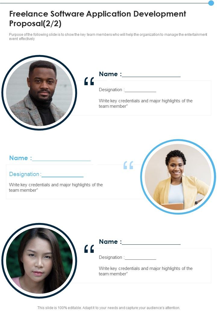 Freelance Software Application Development Proposal One Pager Sample Example Document