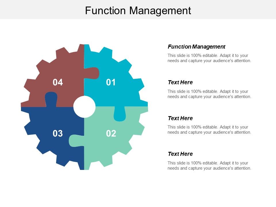 Function_Management_Ppt_PowerPoint_Presentation_Summary_Model_Cpb_Slide_1.jpg