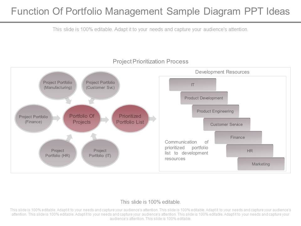 Function_Of_Portfolio_Management_Sample_Diagram_Ppt_Ideas_1.jpg