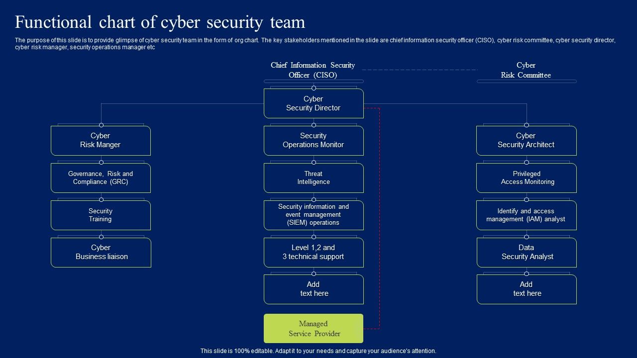 Functional_Chart_Of_Cyber_Security_Team_Ppt_Layouts_Graphics_Example_PDF_Slide_1.jpg