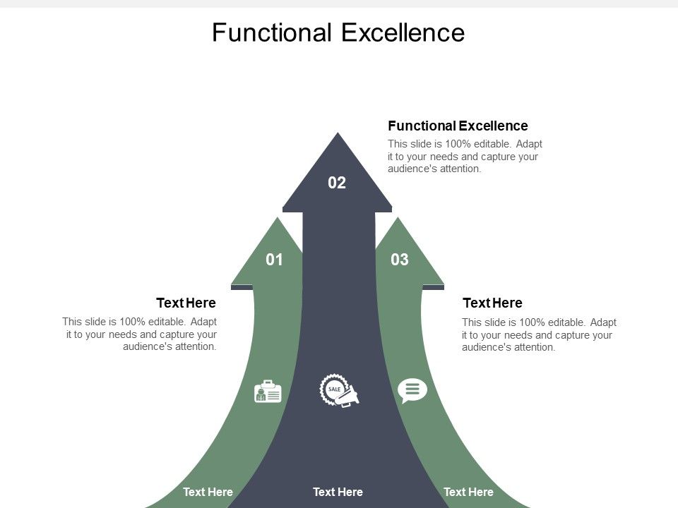 Functional_Excellence_Ppt_PowerPoint_Presentation_Show_Designs_Cpb_Slide_1.jpg