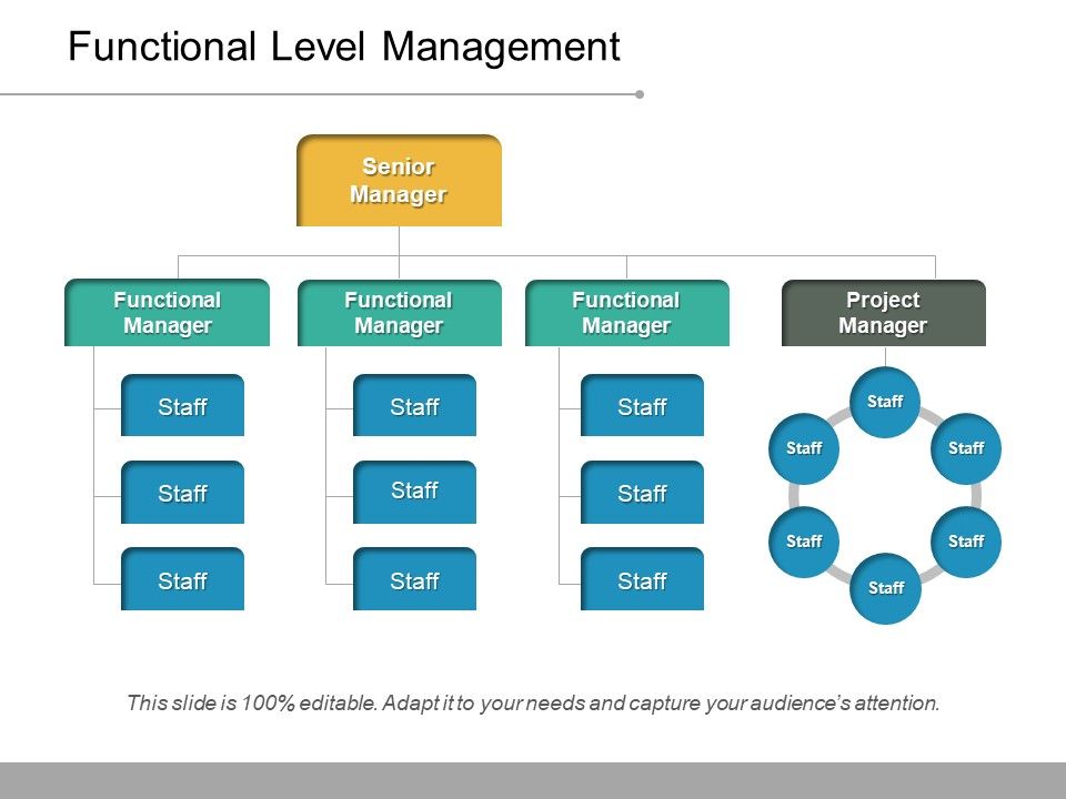 Functional_Level_Management_Ppt_PowerPoint_Presentation_Infographics_Images_Slide_1.jpg