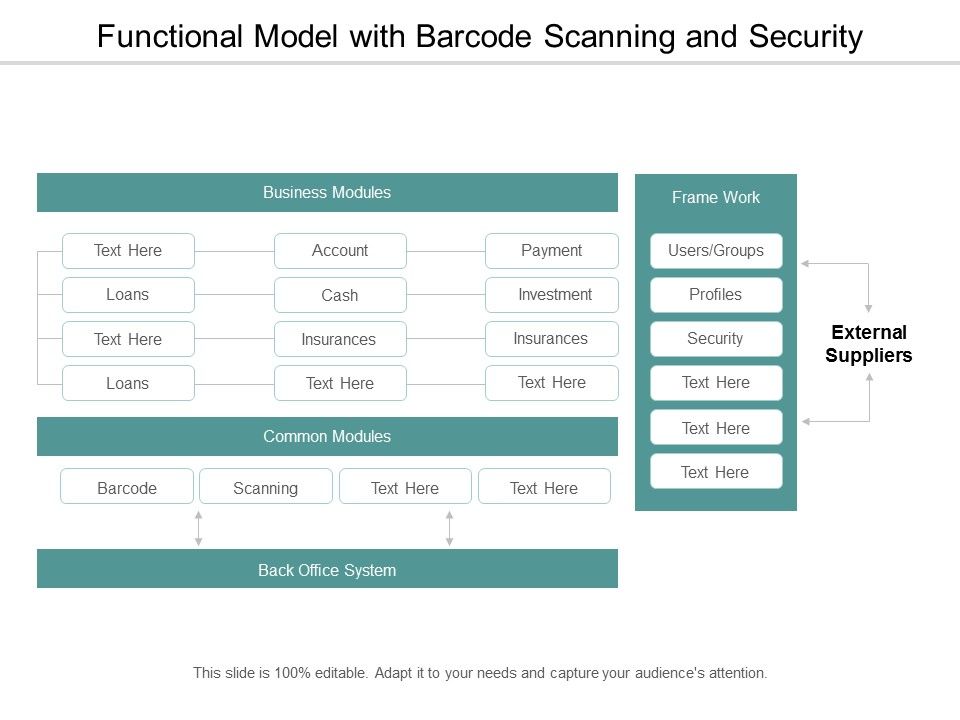 Functional_Model_With_Barcode_Scanning_And_Security_Ppt_PowerPoint_Presentation_Layouts_Design_Ideas_Slide_1.jpg
