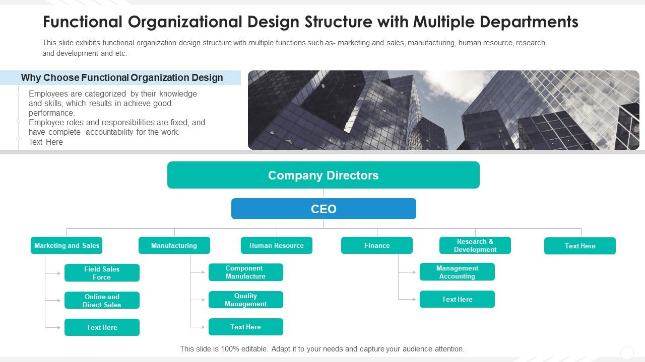 Functional_Organizational_Design_Structure_With_Multiple_Departments_Ideas_PDF_Slide_1.jpg