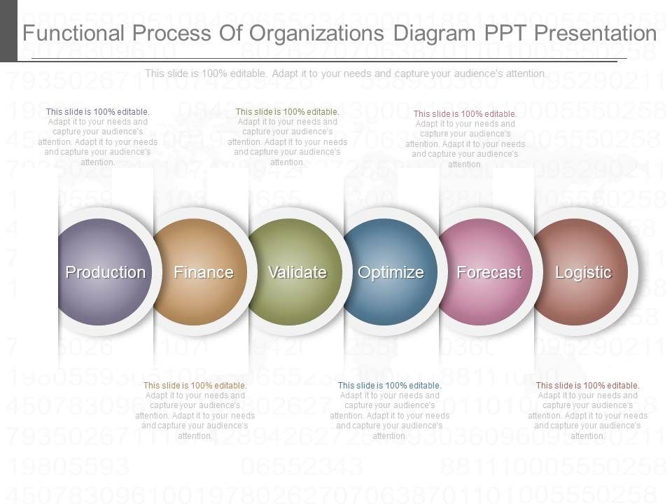 Functional_Process_Of_Organizations_Diagram_Ppt_Presentation_1.jpg
